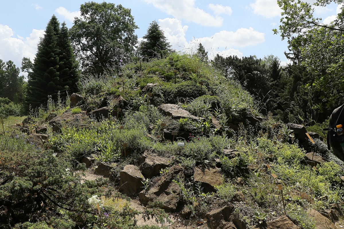 Jardin Botanique de Berlin