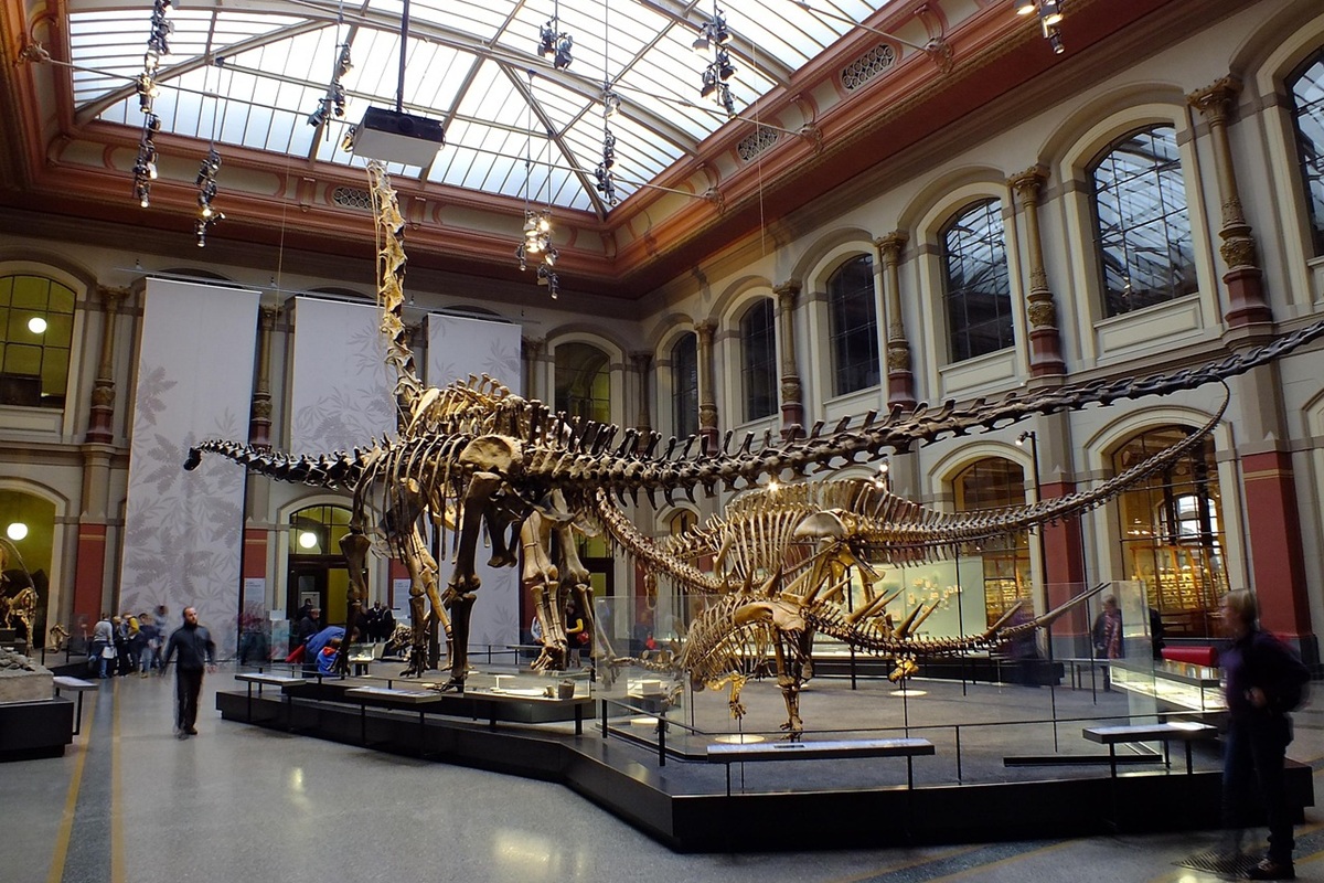Musée d'histoire naturelle, Berlin Mitte