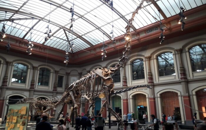Musée d'histoire naturelle, Berlin Mitte