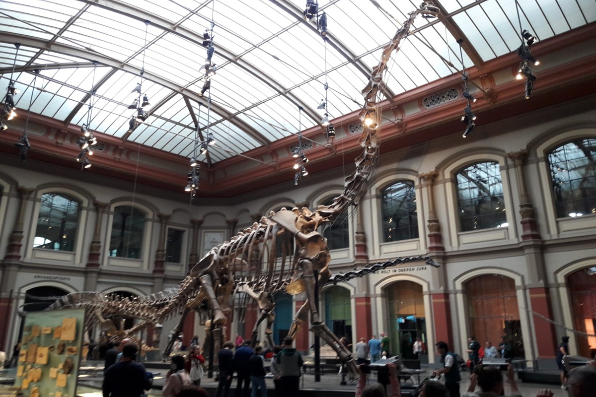 Musée d'histoire naturelle, Berlin Mitte