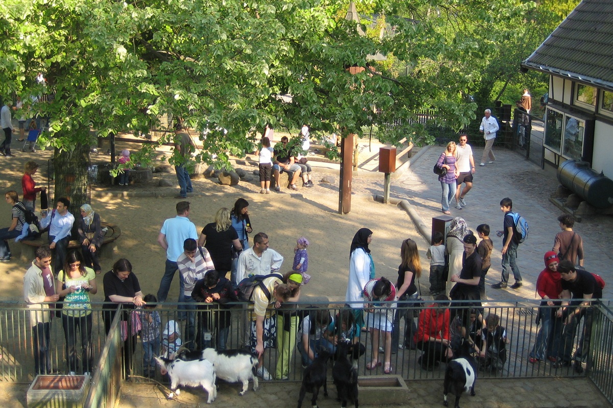 Petits animaux et enfants, Zoo de Berlin
