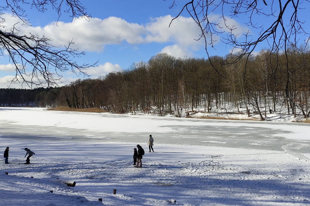 Lac en hiver à Berlin